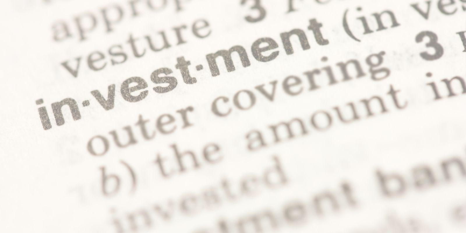 What is the Investment Readiness Program?