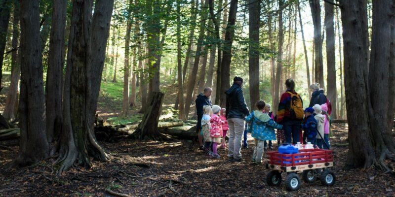 A group of adults and children from Trillium Waldorf stand in a sunlit forest with a red wagon full of supplies.