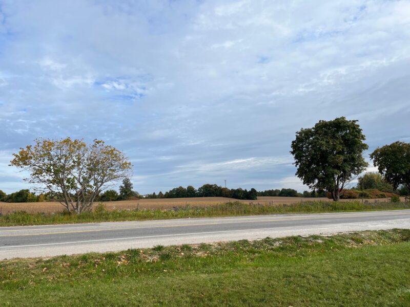 Two trees by a rural road with fields and a cloudy sky, symbolizing growth like Charity Bonds.